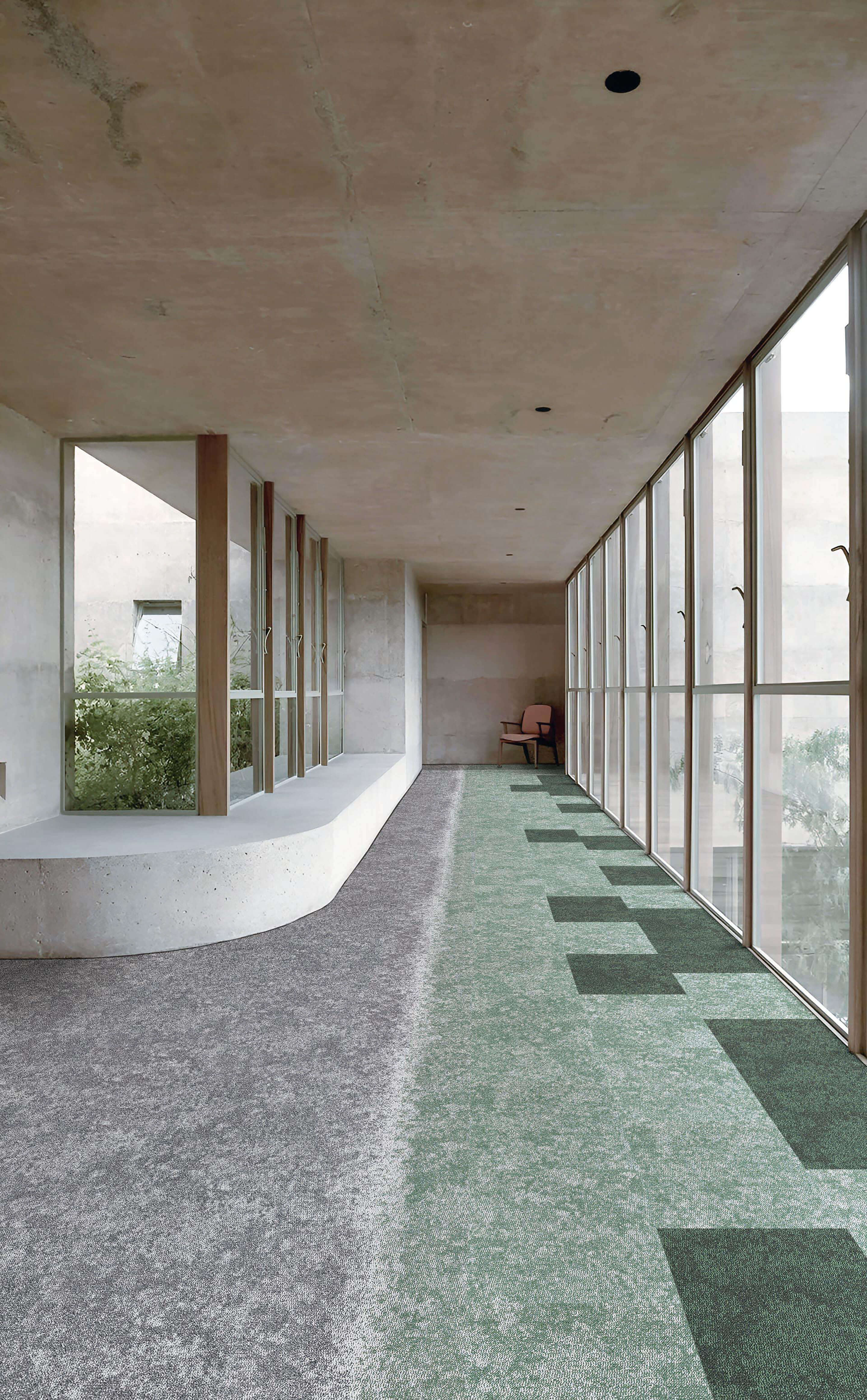 T69504+T69514+T69544+T66504